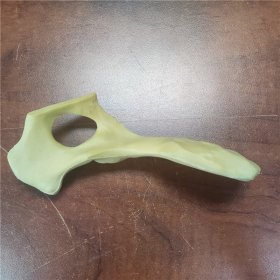 獸類(lèi)貓狗動(dòng)物骨骼模型